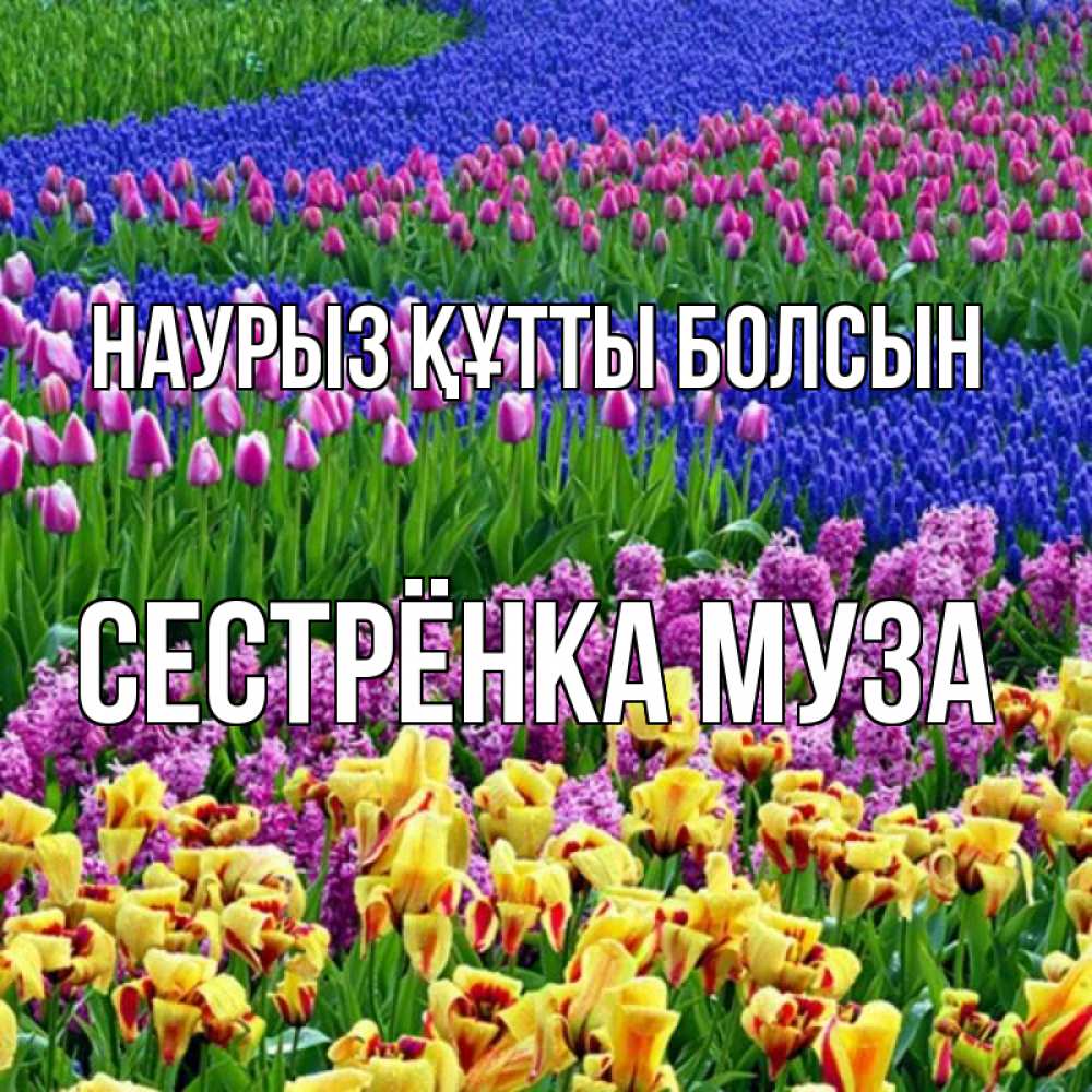 Открытка на каждый день с именем, Сестрёнка-Муза Наурыз құтты болсын цветы Прикольная открытка с пожеланием онлайн скачать бесплатно 