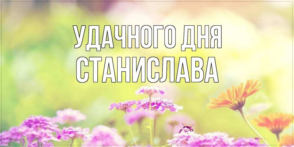 Открытка на каждый день с именем, Станислава Удачного дня красивая открытка с летней темой Прикольная открытка с пожеланием онлайн скачать бесплатно 