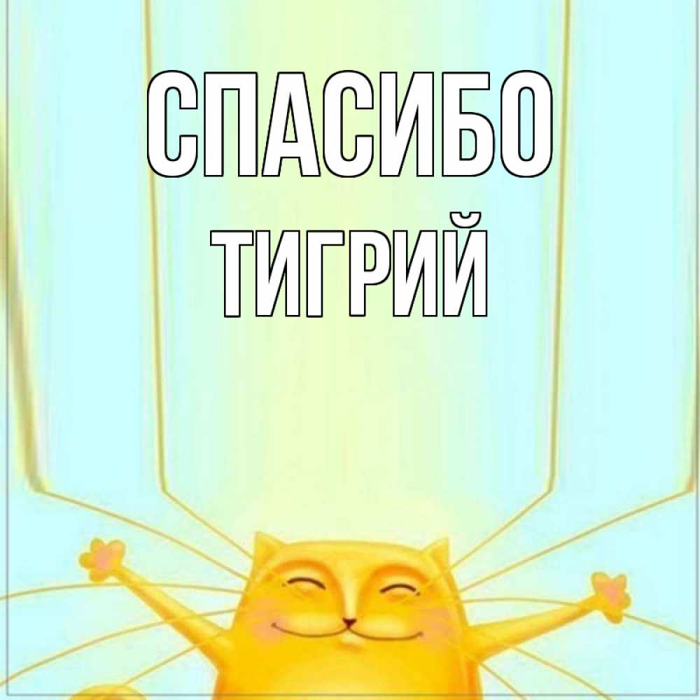 Открытка на каждый день с именем, Тигрий Спасибо кот с усами благодарит Прикольная открытка с пожеланием онлайн скачать бесплатно 