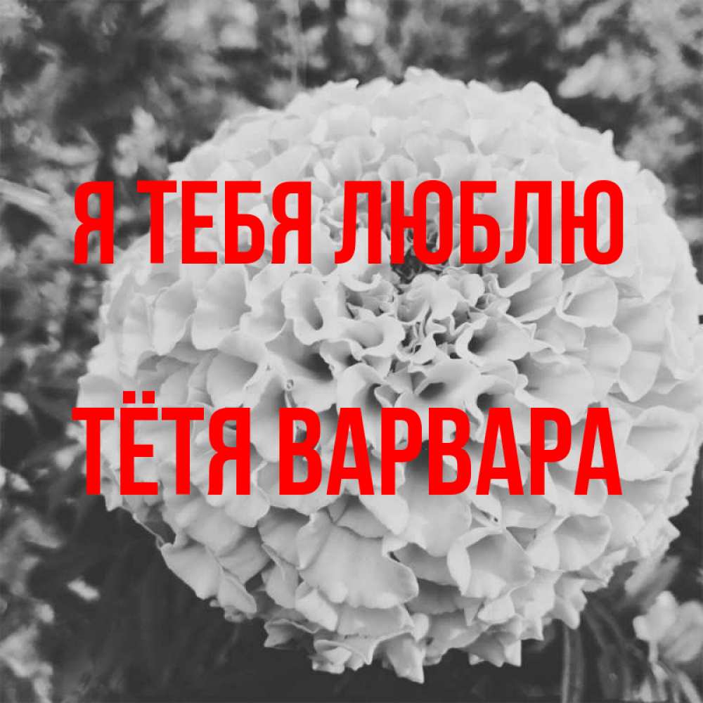 Открытка на каждый день с именем, Тётя-Варвара Я тебя люблю подпись Прикольная открытка с пожеланием онлайн скачать бесплатно 