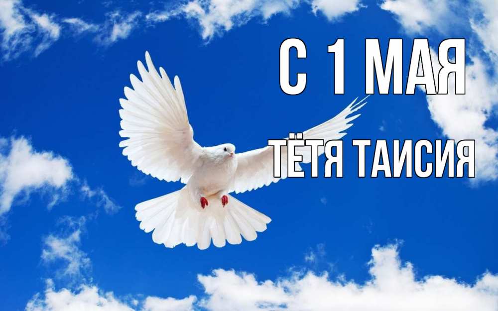 Открытка на каждый день с именем, Тётя-Таисия С 1 мая С 1 мая 1 Прикольная открытка с пожеланием онлайн скачать бесплатно 