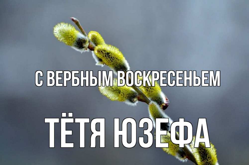 Открытка на каждый день с именем, Тётя-Юзефа С вербным воскресеньем верба Прикольная открытка с пожеланием онлайн скачать бесплатно 
