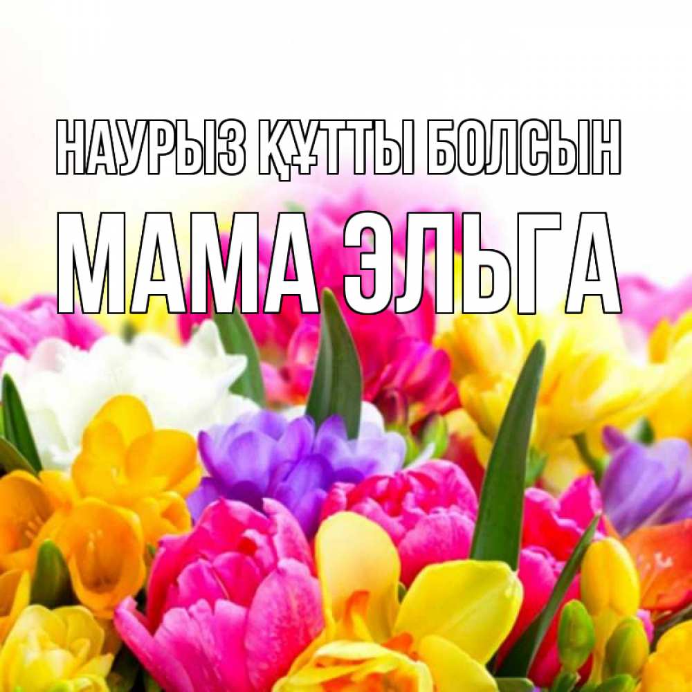 Открытка на каждый день с именем, Мама-Эльга Наурыз құтты болсын тюльпаны Прикольная открытка с пожеланием онлайн скачать бесплатно 
