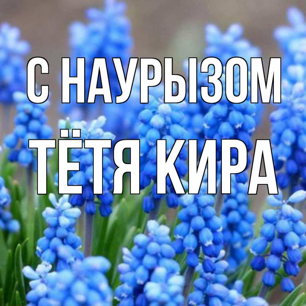 Открытка на каждый день с именем, Тётя-Кира С наурызом Поздравительная открытка для женщин с цветами на праздничную дату Прикольная открытка с пожеланием онлайн скачать бесплатно 