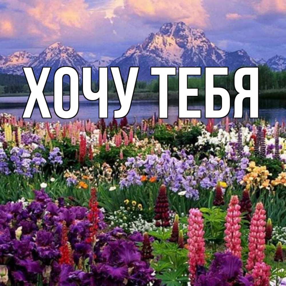 Открытка на каждый день с именем, Хочу-тебя Главная международный женский день Прикольная открытка с пожеланием онлайн скачать бесплатно 