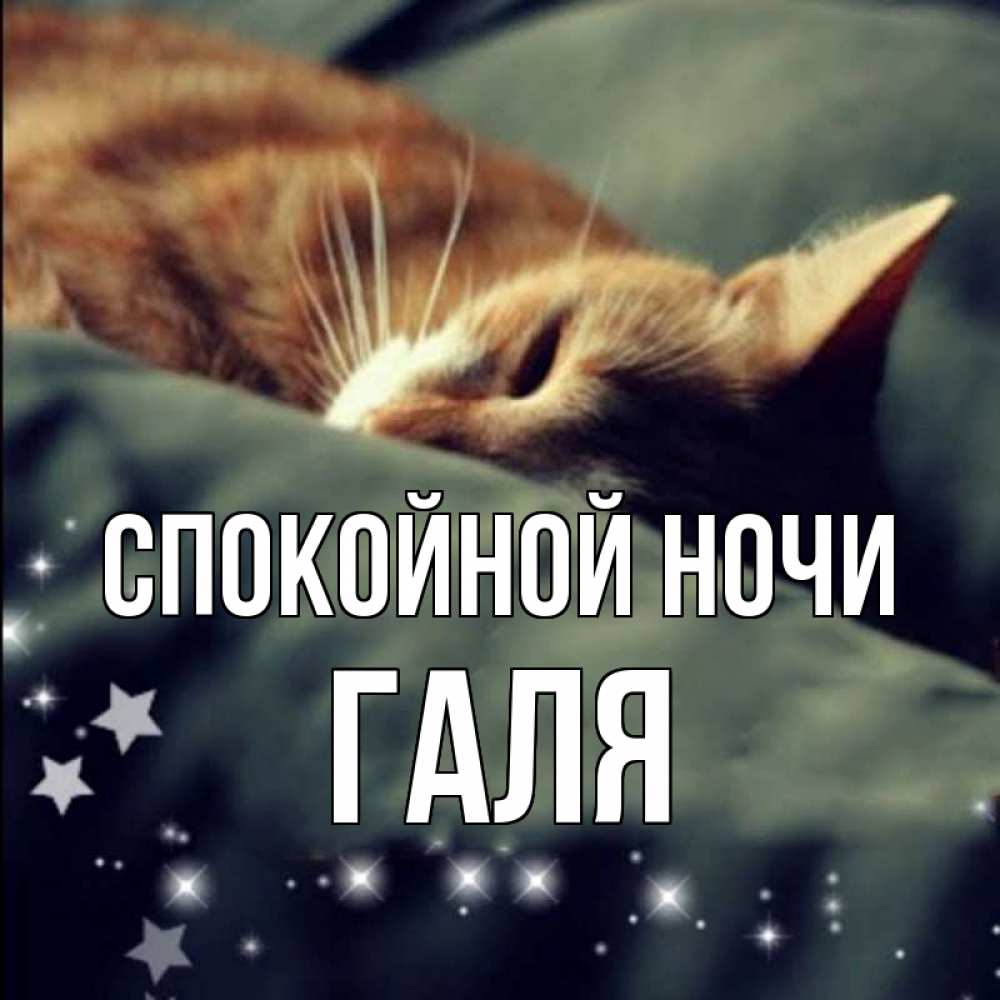 Открытка на каждый день с именем, Галя Спокойной ночи кроватка Прикольная открытка с пожеланием онлайн скачать бесплатно 