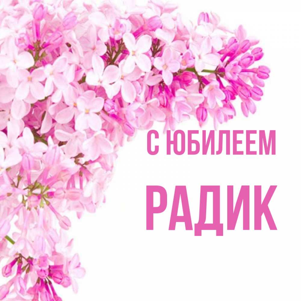 Радик С Днем Рождения Картинки