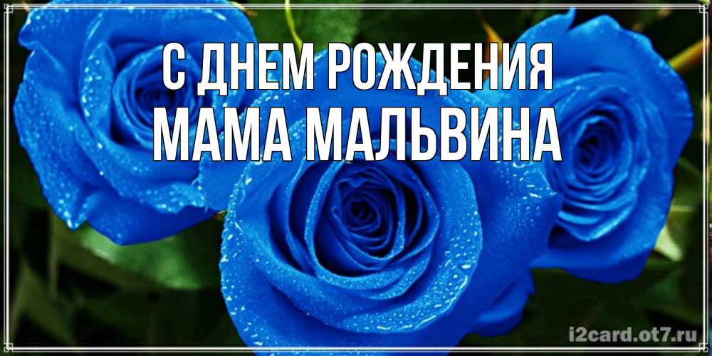 Открытка на каждый день с именем, Мама-Мальвина С днем рождения розы с синим цветом Прикольная открытка с пожеланием онлайн скачать бесплатно 
