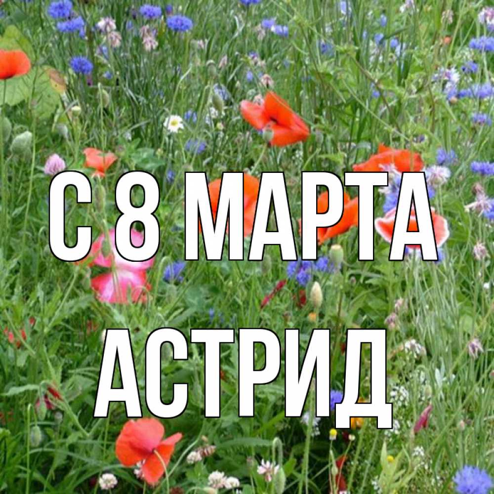 Открытка на каждый день с именем, Астрид С 8 марта международный женский день 4 Прикольная открытка с пожеланием онлайн скачать бесплатно 