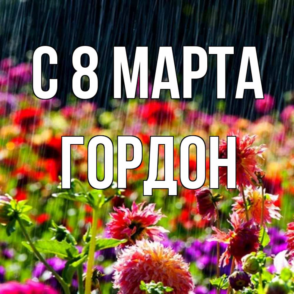 Открытка на каждый день с именем, Гордон С 8 марта цветы под дождиком к международному женскому дню Прикольная открытка с пожеланием онлайн скачать бесплатно 