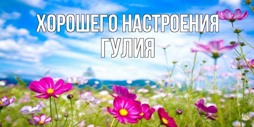 Открытка на каждый день с именем, Гулия Хорошего настроения поле цветов Прикольная открытка с пожеланием онлайн скачать бесплатно 