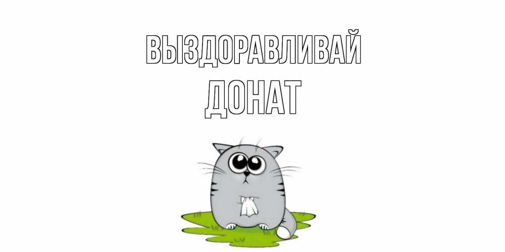 Открытка на каждый день с именем, Донат Выздоравливай кот и открытки про выздоровление Прикольная открытка с пожеланием онлайн скачать бесплатно 