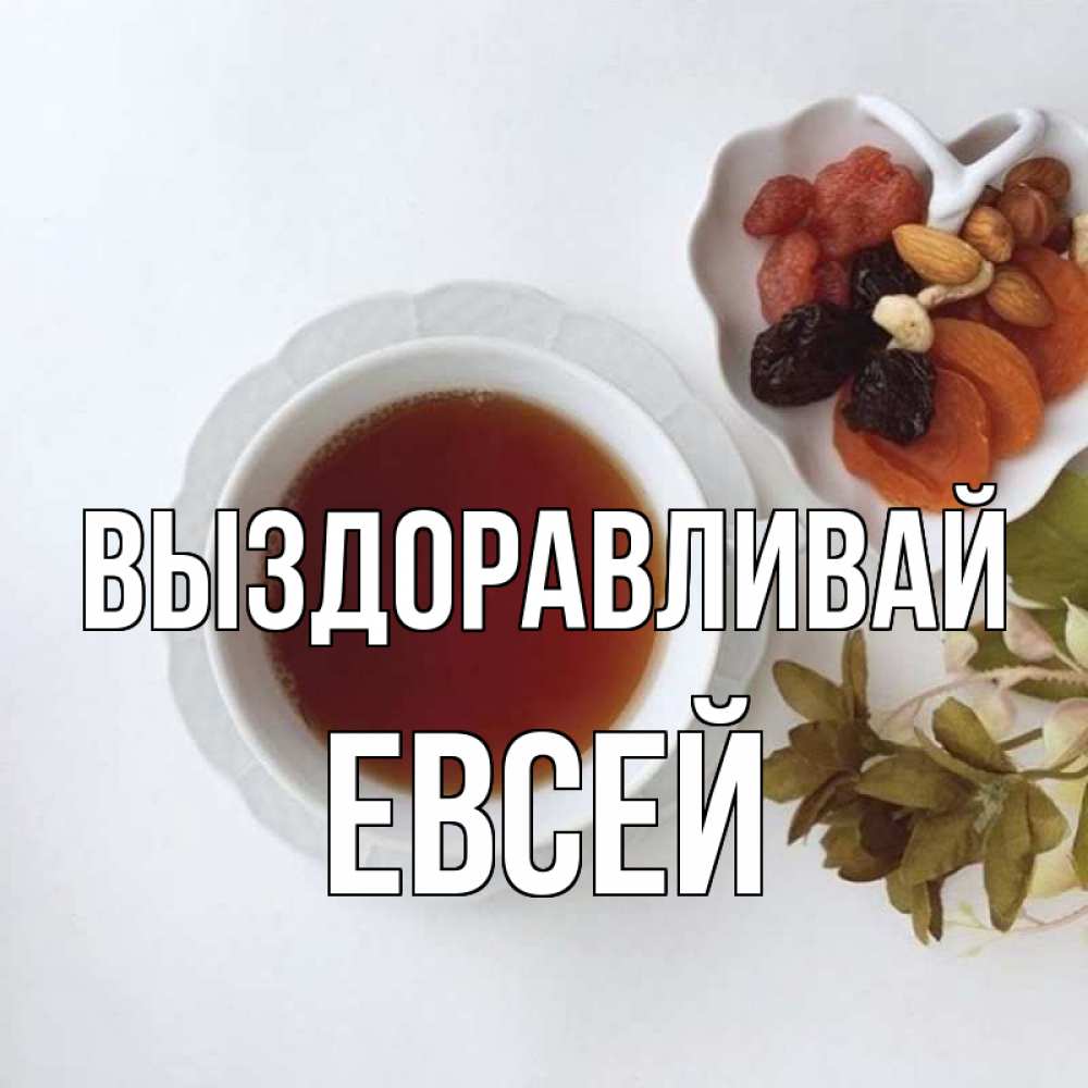 Открытка на каждый день с именем, Евсей Выздоравливай неизвестные растения Прикольная открытка с пожеланием онлайн скачать бесплатно 