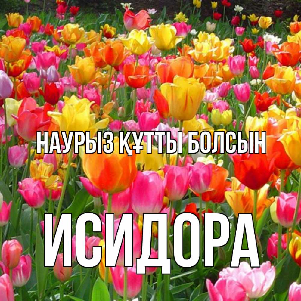 Открытка на каждый день с именем, Исидора Наурыз құтты болсын на наурыз  ура ура Прикольная открытка с пожеланием онлайн скачать бесплатно 