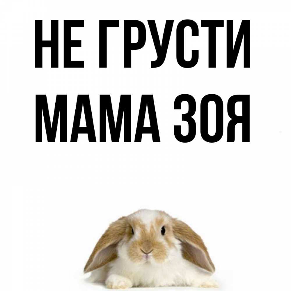 Открытка на каждый день с именем, Мама-Зоя Не грусти коричнево белый заяц с большими ушками Прикольная открытка с пожеланием онлайн скачать бесплатно 