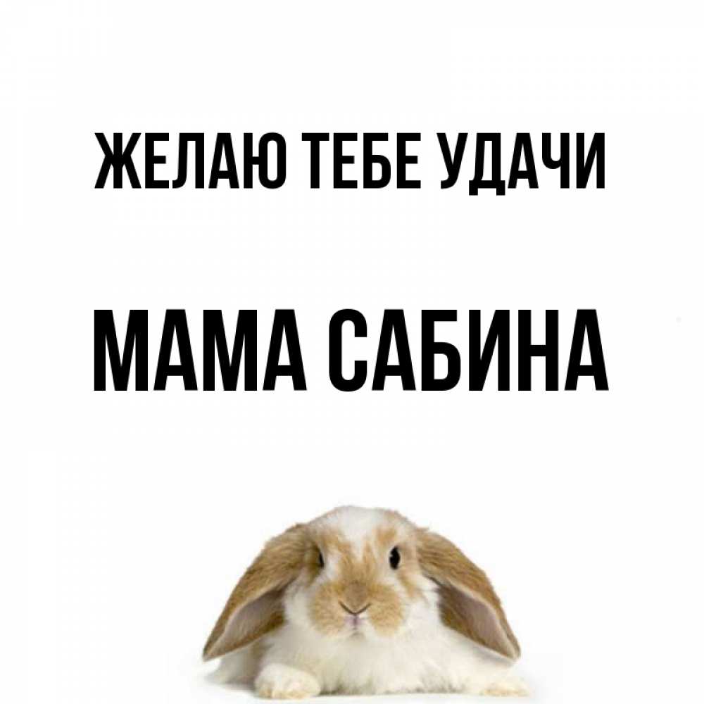 Открытка на каждый день с именем, Мама-Сабина Желаю тебе удачи открытки с произвольным текстом который можно вставить в открытку и создать ее самостоятельно бесплатно онлайн Прикольная открытка с пожеланием онлайн скачать бесплатно 