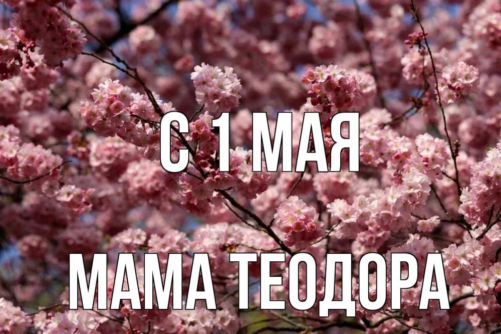 Открытка на каждый день с именем, Мама-Теодора С 1 мая С 1 мая Прикольная открытка с пожеланием онлайн скачать бесплатно 