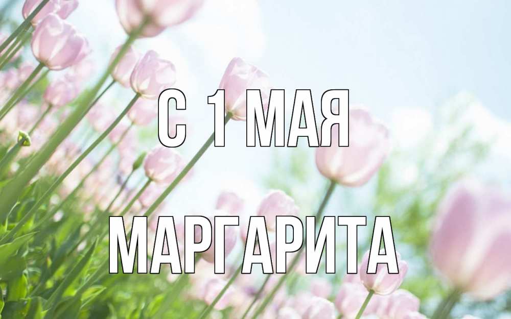 Открытка на каждый день с именем, Маргарита С 1 мая С 1 мая Прикольная открытка с пожеланием онлайн скачать бесплатно 