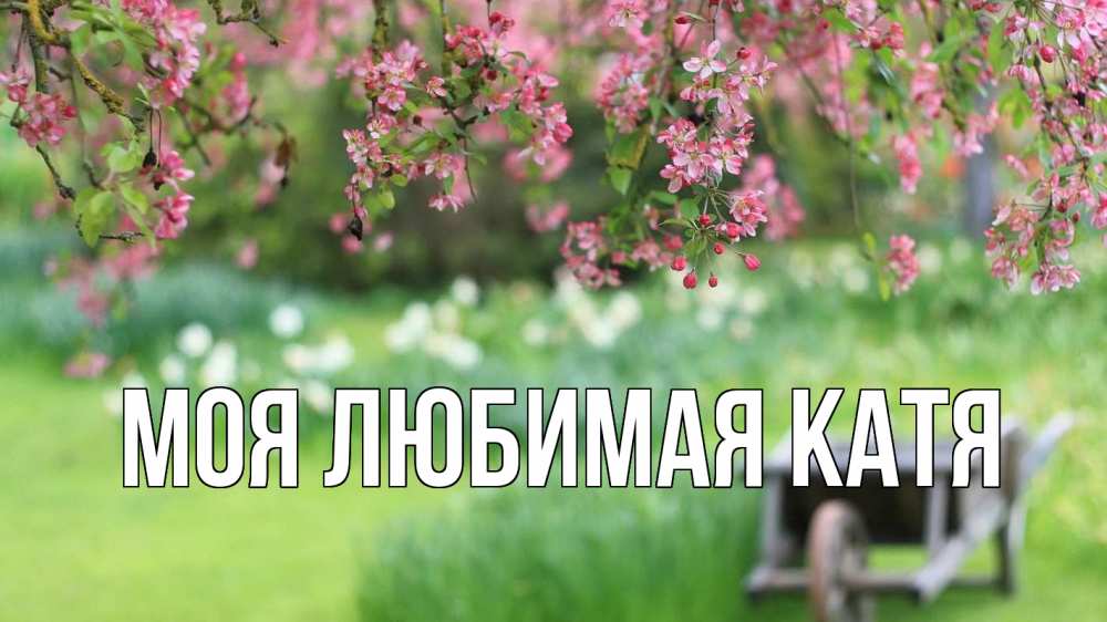 Открытка на каждый день с именем, Моя-любимая-Катя Главная С 1 мая Прикольная открытка с пожеланием онлайн скачать бесплатно 