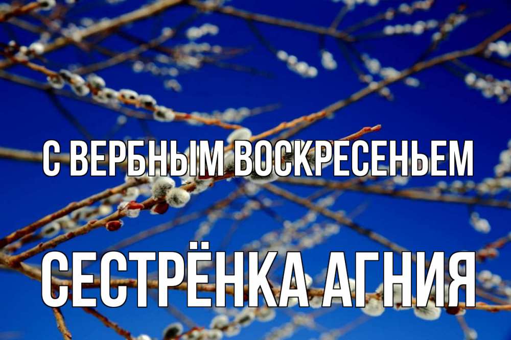 Открытка на каждый день с именем, Сестрёнка-Агния С вербным воскресеньем верба Прикольная открытка с пожеланием онлайн скачать бесплатно 