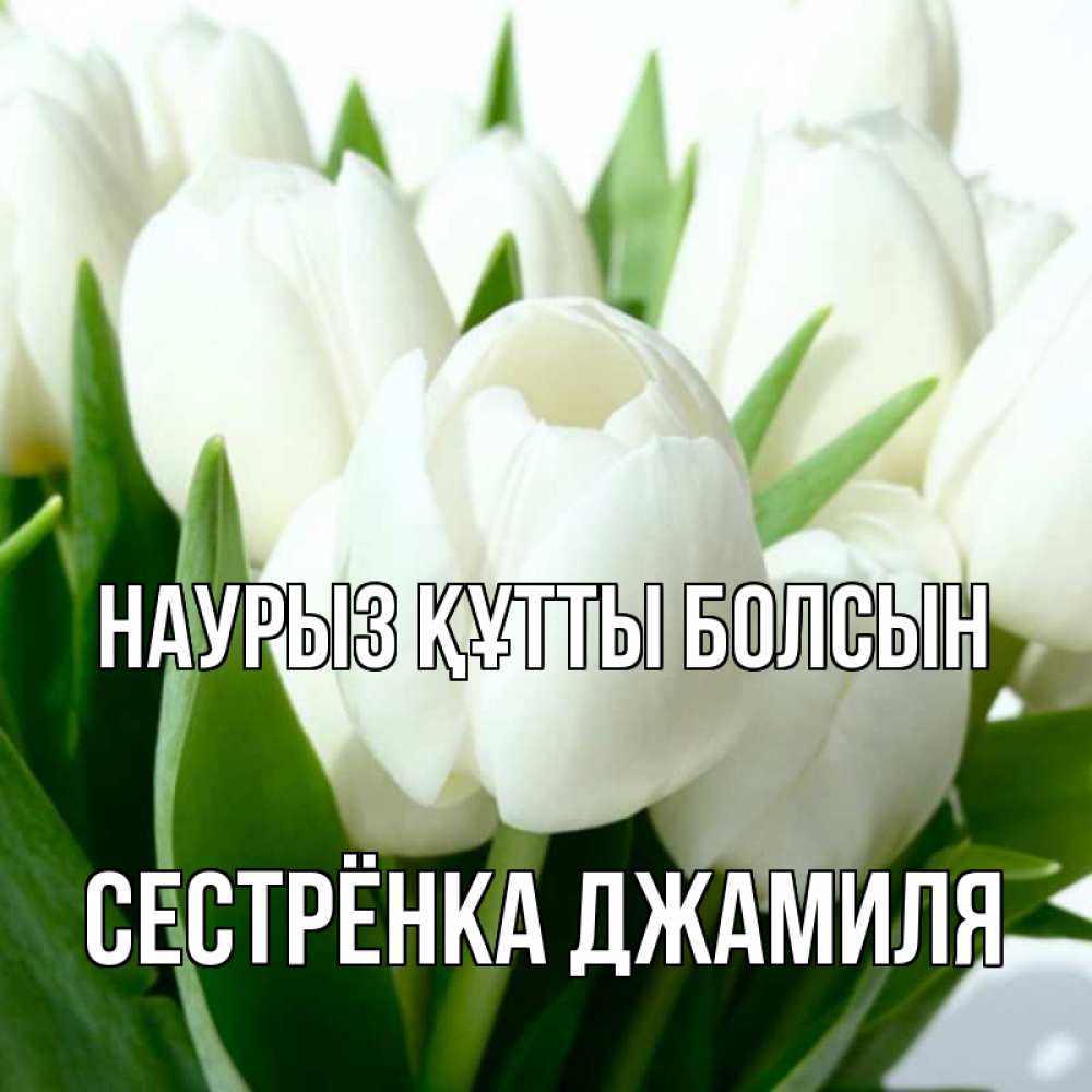 Открытка на каждый день с именем, Сестрёнка-Джамиля Наурыз құтты болсын цветы Прикольная открытка с пожеланием онлайн скачать бесплатно 