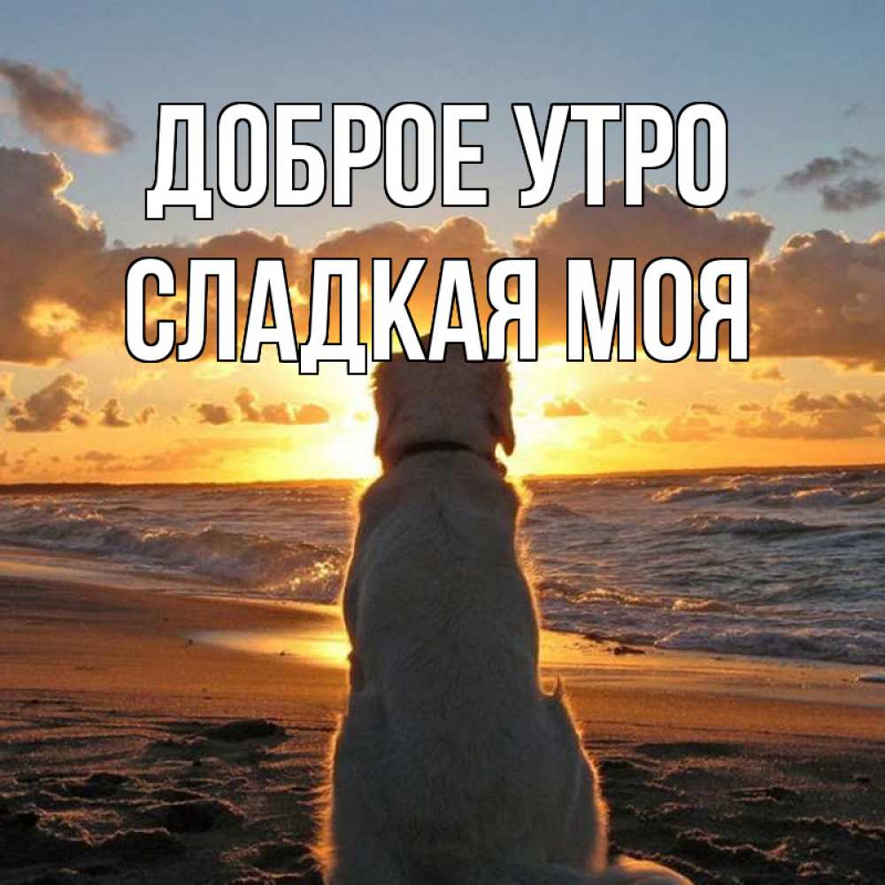 Открытка на каждый день с именем, Сладкая-моя Доброе утро восход солнца Прикольная открытка с пожеланием онлайн скачать бесплатно 