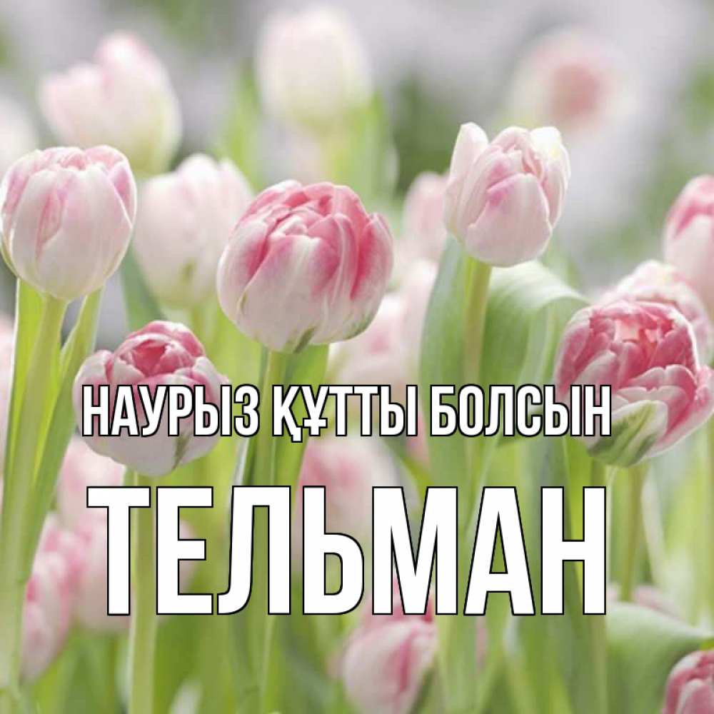 Открытка на каждый день с именем, Тельман Наурыз құтты болсын цветы Прикольная открытка с пожеланием онлайн скачать бесплатно 