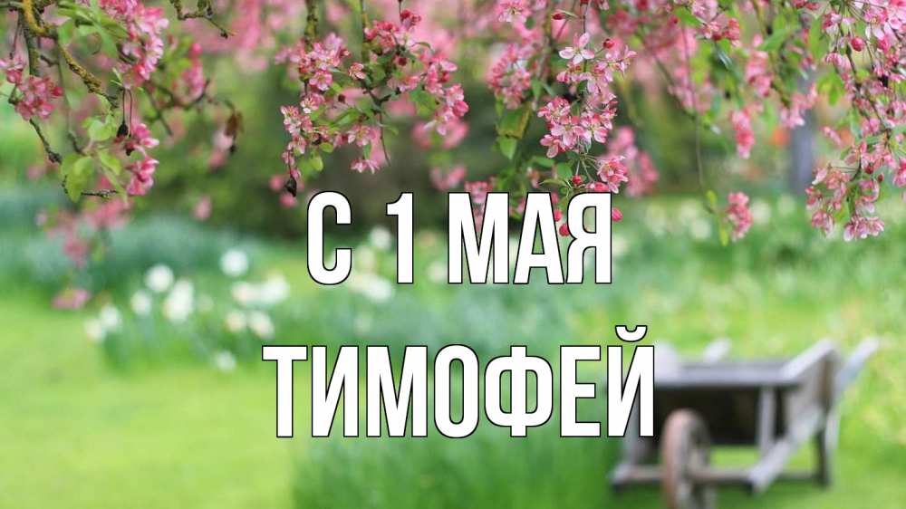 Открытка на каждый день с именем, Тимофей С 1 мая С 1 мая Прикольная открытка с пожеланием онлайн скачать бесплатно 
