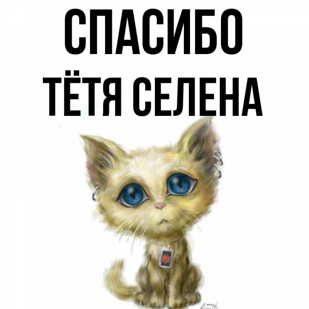 Открытка на каждый день с именем, Тётя-Селена Спасибо рисованный кот благодарит вас Прикольная открытка с пожеланием онлайн скачать бесплатно 