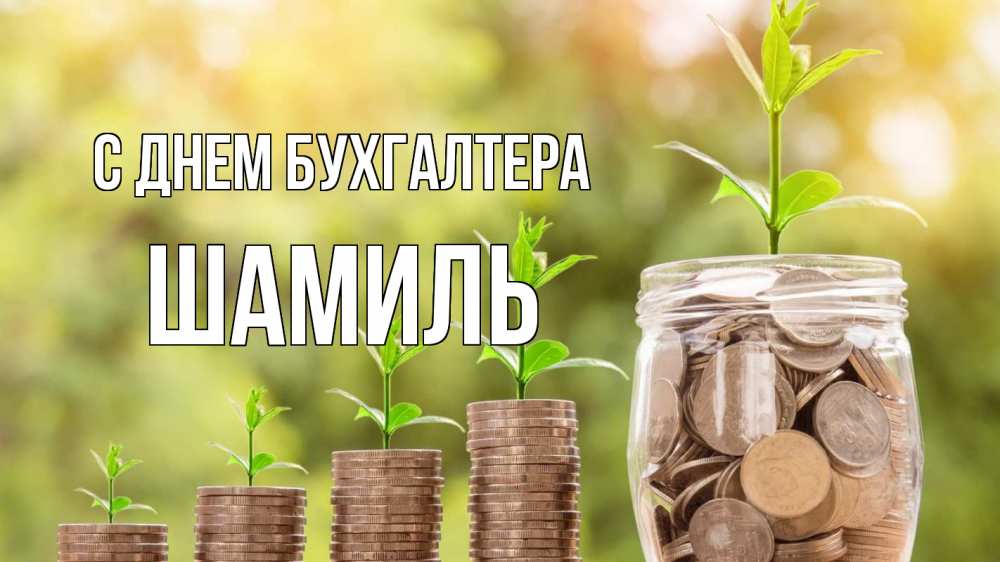 Открытка на каждый день с именем, Шамиль С днем бухгалтера с днем бухгалтера Прикольная открытка с пожеланием онлайн скачать бесплатно 
