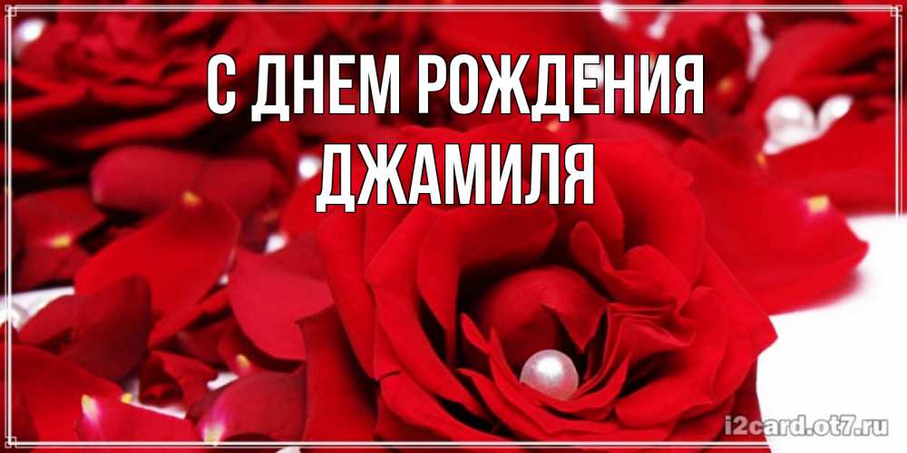 Открытка на каждый день с именем, Джамиля С днем рождения роза с жемчужиной на открытке для любимых Прикольная открытка с пожеланием онлайн скачать бесплатно 