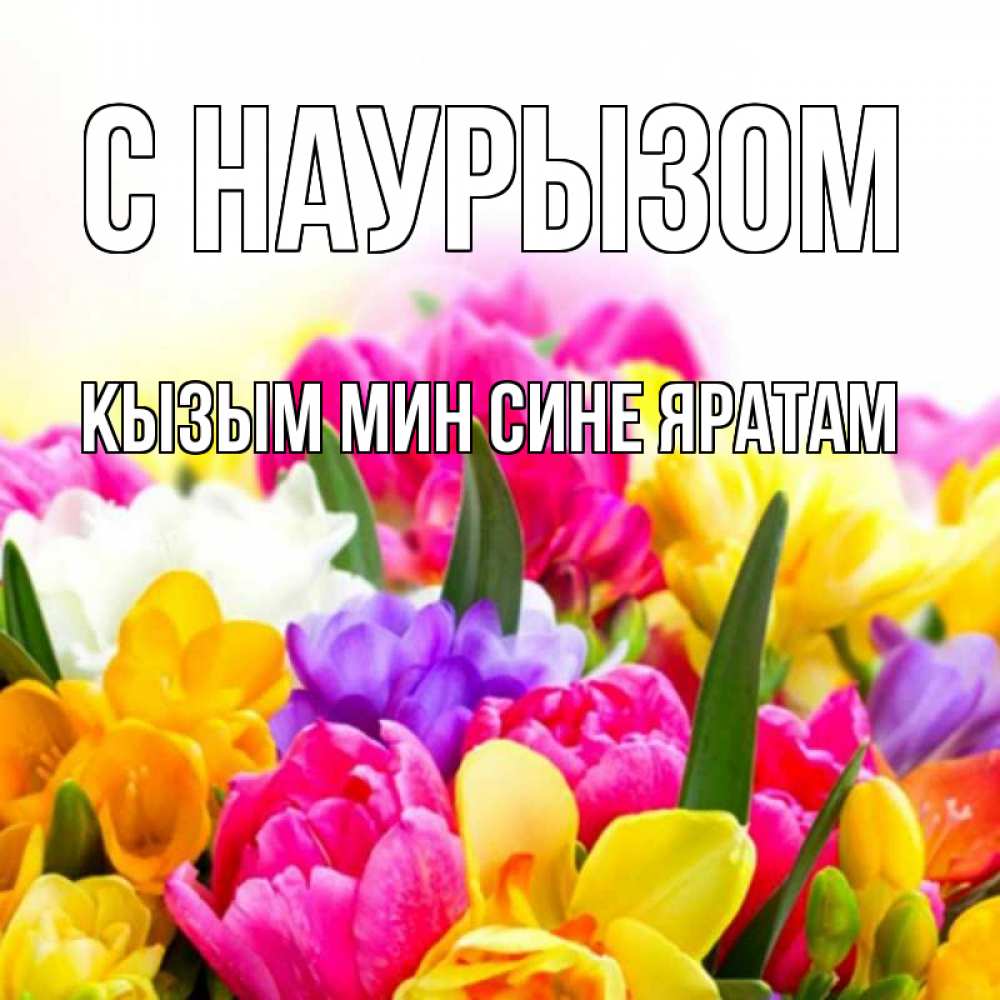 Открытка на каждый день с именем, Кызым-мин-сине-яратам С наурызом тюльпаны Прикольная открытка с пожеланием онлайн скачать бесплатно 