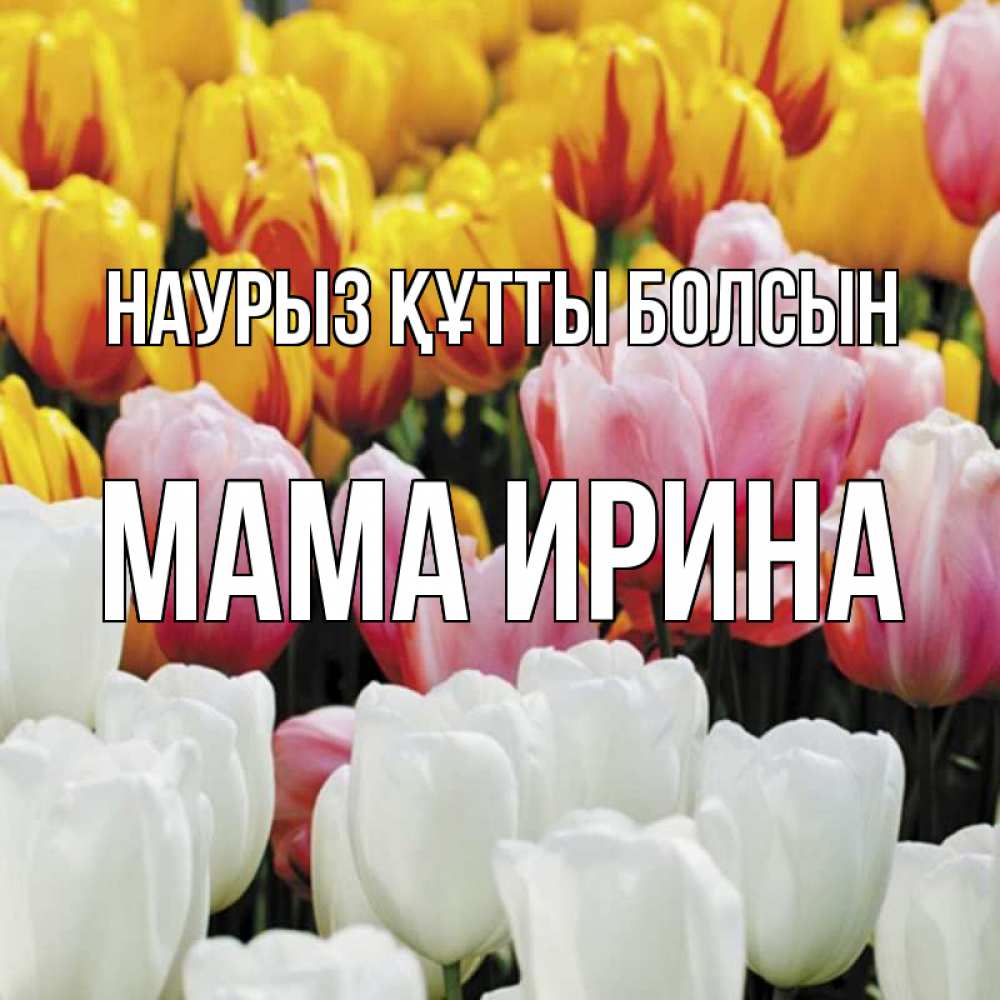 Открытка на каждый день с именем, Мама-Ирина Наурыз құтты болсын разноцветные цветы Прикольная открытка с пожеланием онлайн скачать бесплатно 