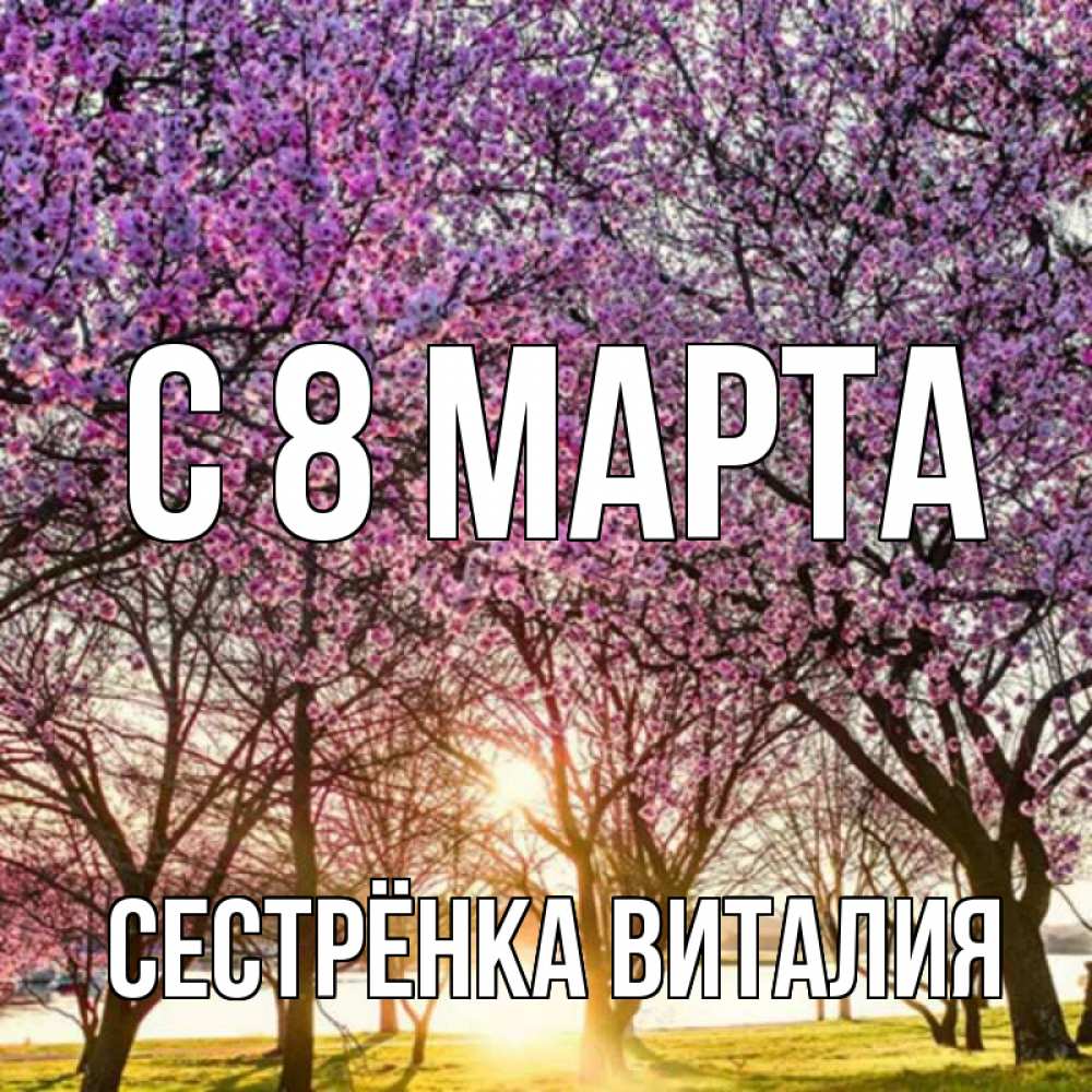 Открытка на каждый день с именем, Сестрёнка-Виталия С 8 марта международный женский день Прикольная открытка с пожеланием онлайн скачать бесплатно 