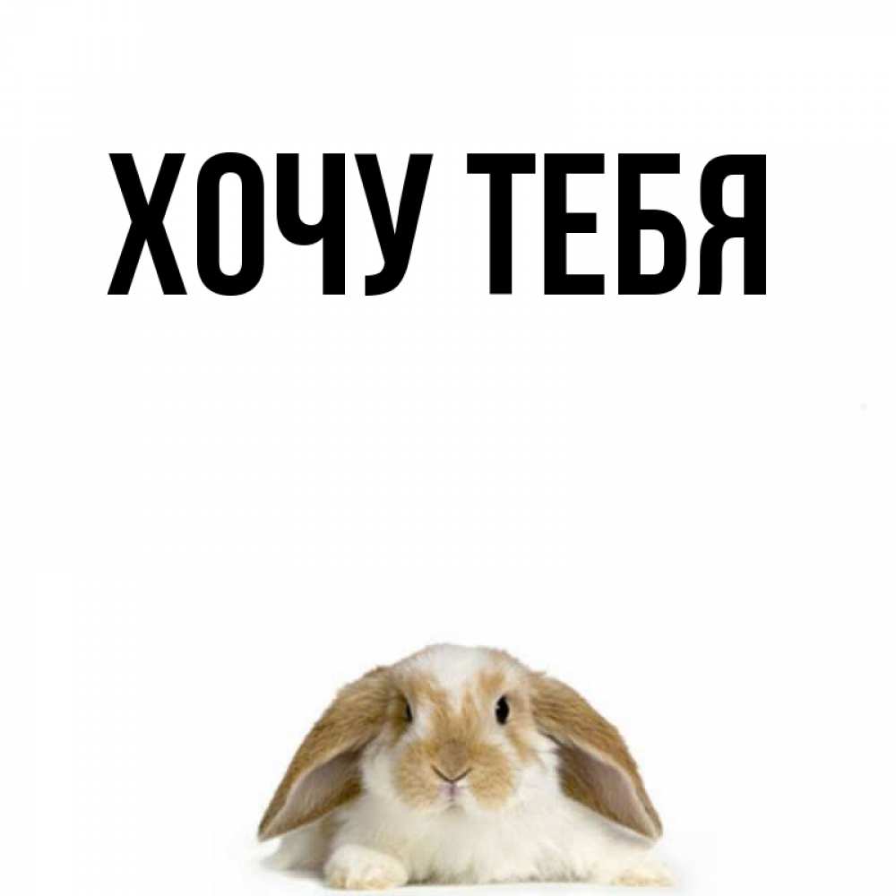Открытка на каждый день с именем, Хочу-тебя Главная коричнево белый заяц с большими ушками Прикольная открытка с пожеланием онлайн скачать бесплатно 