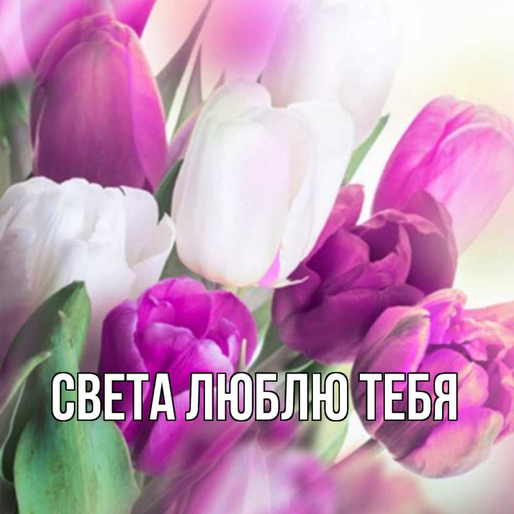 Света картинки с именем света