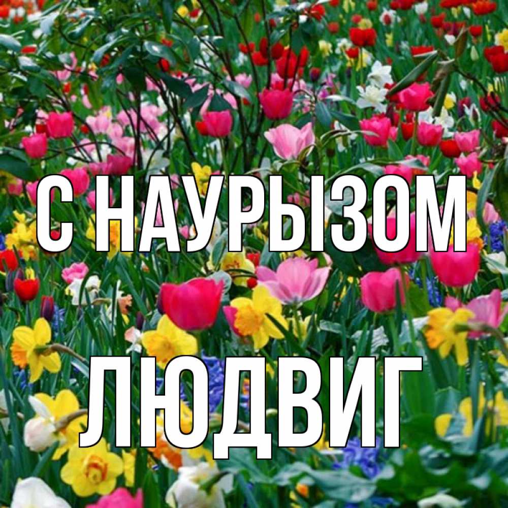 Открытка на каждый день с именем, Людвиг С наурызом с наурызом праздником весны поздравления для женщины Прикольная открытка с пожеланием онлайн скачать бесплатно 