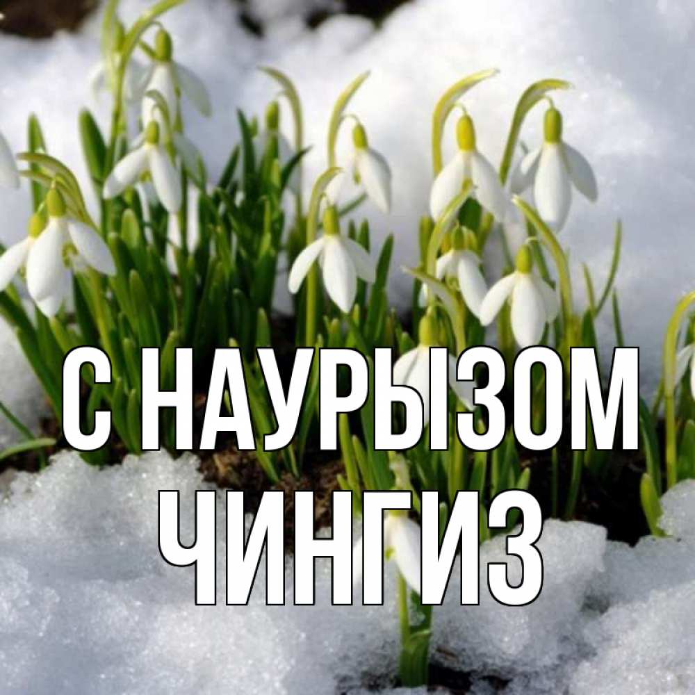 Открытка на каждый день с именем, Чингиз С наурызом цветы весенние Прикольная открытка с пожеланием онлайн скачать бесплатно 