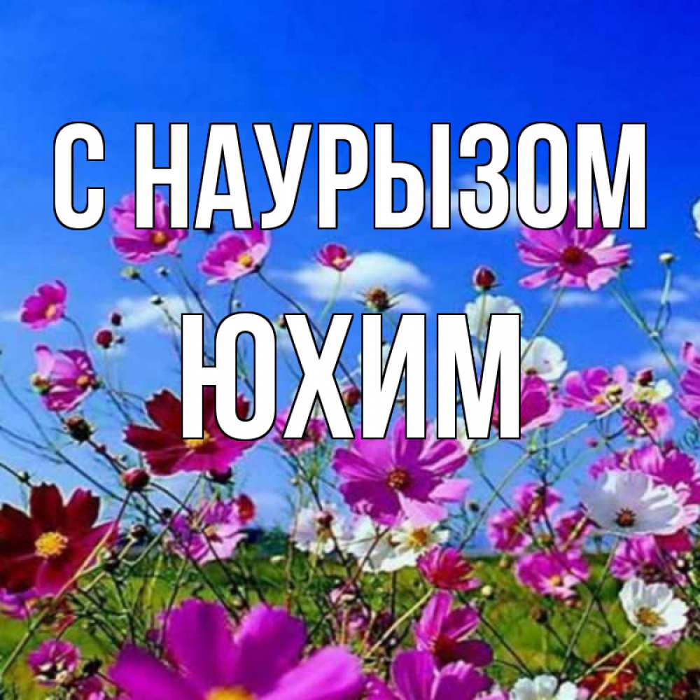 Открытка на каждый день с именем, Юхим С наурызом цветы Прикольная открытка с пожеланием онлайн скачать бесплатно 