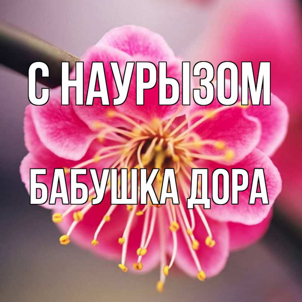 Открытка на каждый день с именем, Бабушка-Дора С наурызом цветы Прикольная открытка с пожеланием онлайн скачать бесплатно 