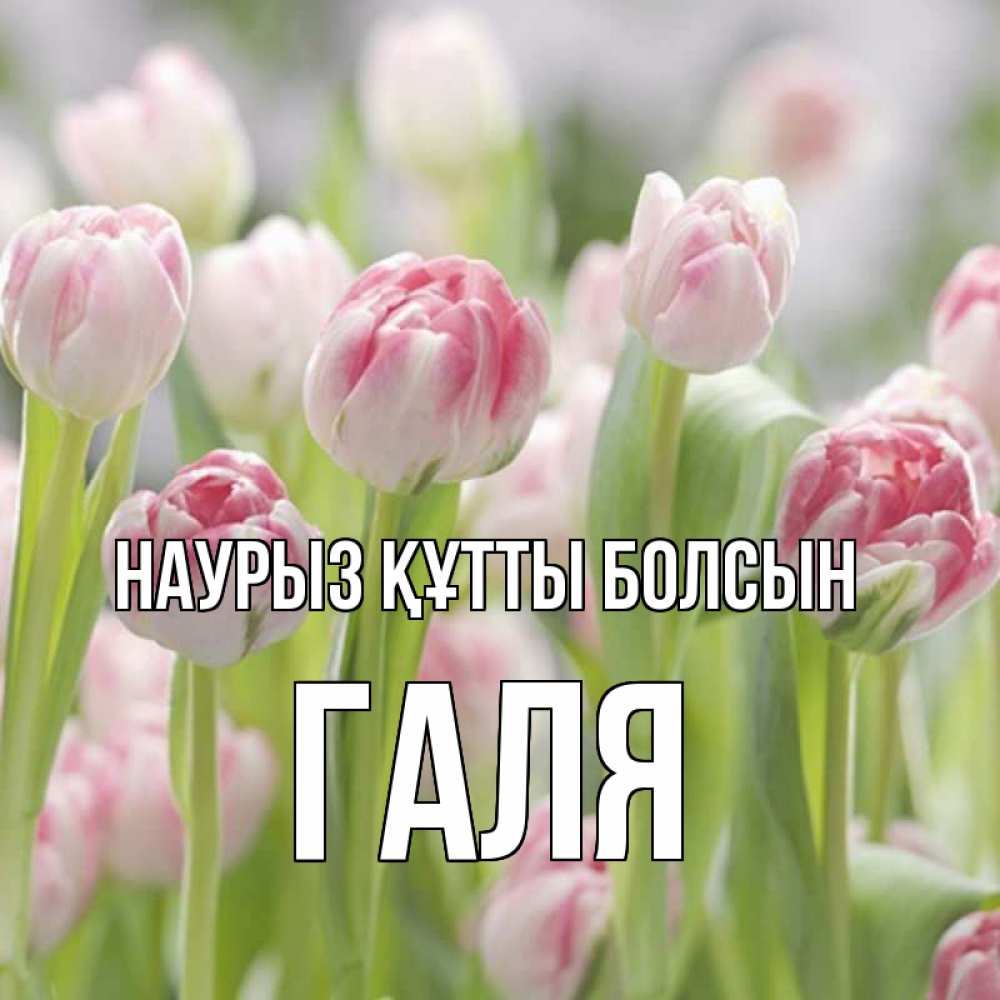 Картинка Наурыз құтты болсын, Галя