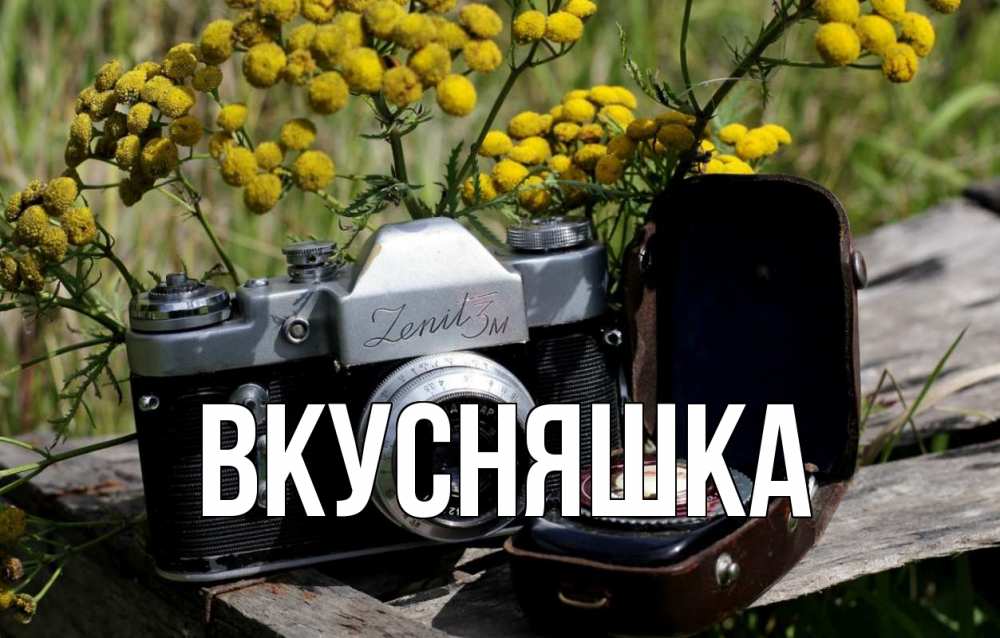 Открытка на каждый день с именем, Вкусняшка Главная с днем фотографа Прикольная открытка с пожеланием онлайн скачать бесплатно 