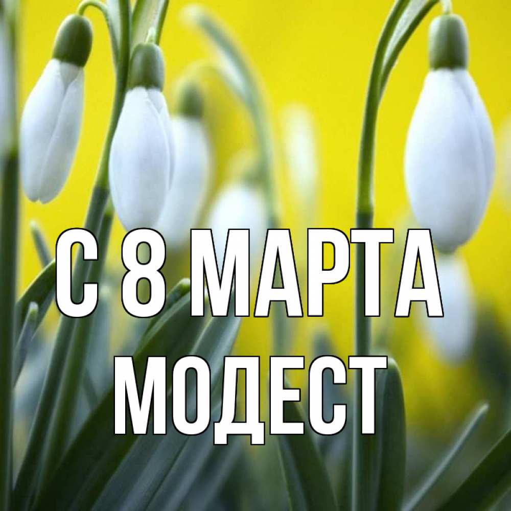 Картинка С 8 МАРТА, Модест