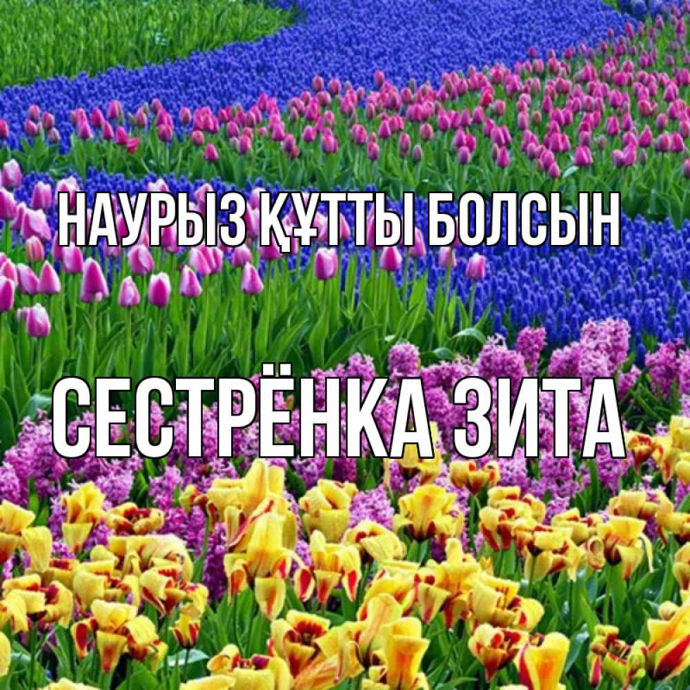 Открытка на каждый день с именем, Сестрёнка-Зита Наурыз құтты болсын цветы Прикольная открытка с пожеланием онлайн скачать бесплатно 