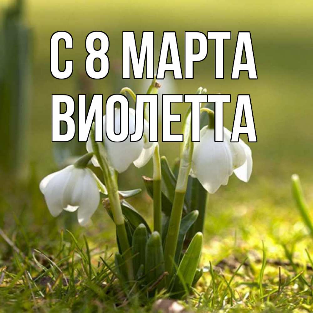 Открытка на каждый день с именем, Виолетта С 8 МАРТА ранние цветы 2 Прикольная открытка с пожеланием онлайн скачать бесплатно 