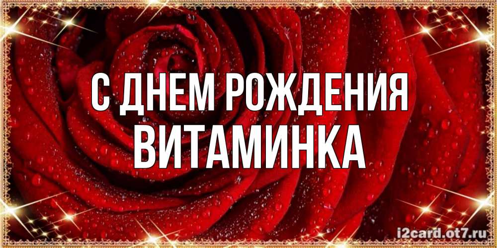 Открытка на каждый день с именем, Витаминка С днем рождения роса на розе блестящая в лучах солнца Прикольная открытка с пожеланием онлайн скачать бесплатно 