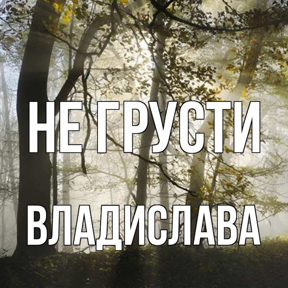 Открытка на каждый день с именем, Владислава Не грусти лес и свет Прикольная открытка с пожеланием онлайн скачать бесплатно 