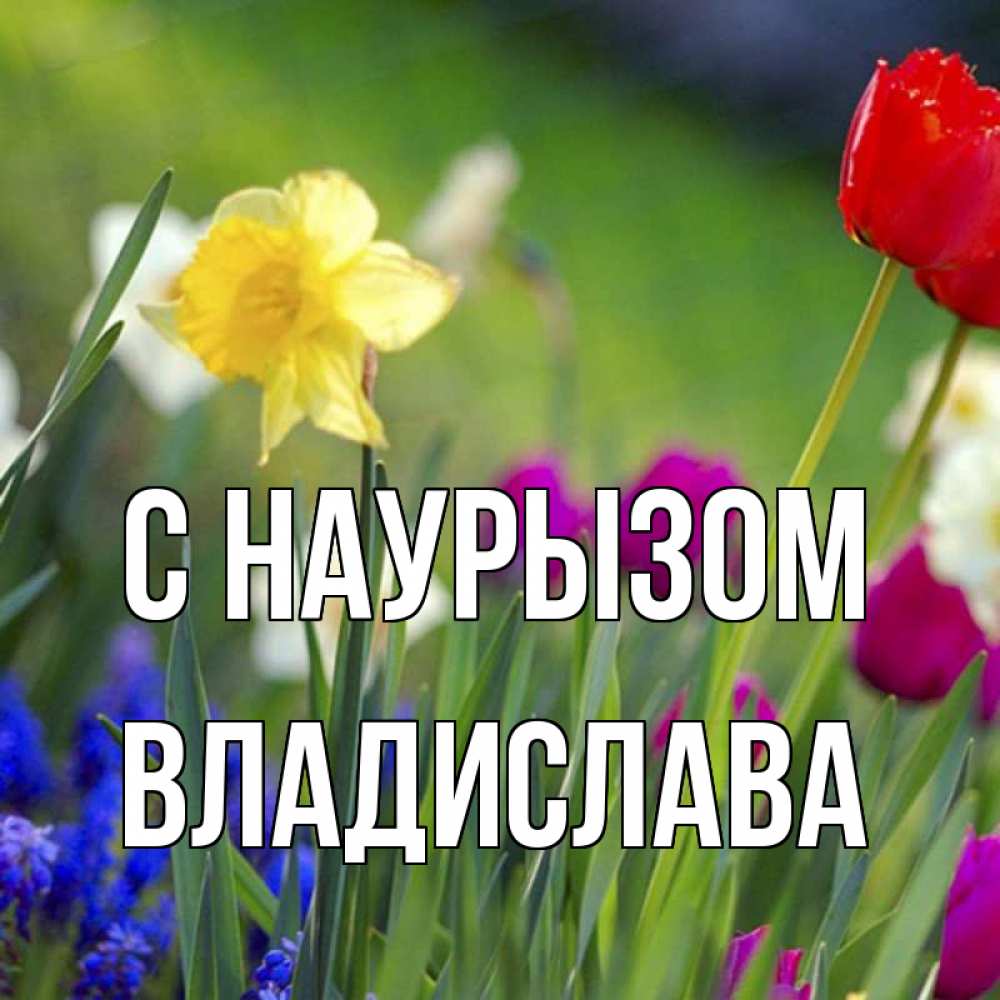 Открытка на каждый день с именем, Владислава С наурызом праздник весны наурыз 3 Прикольная открытка с пожеланием онлайн скачать бесплатно 