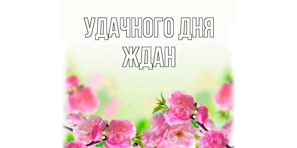 Открытка на каждый день с именем, Ждан Удачного дня цветы Прикольная открытка с пожеланием онлайн скачать бесплатно 