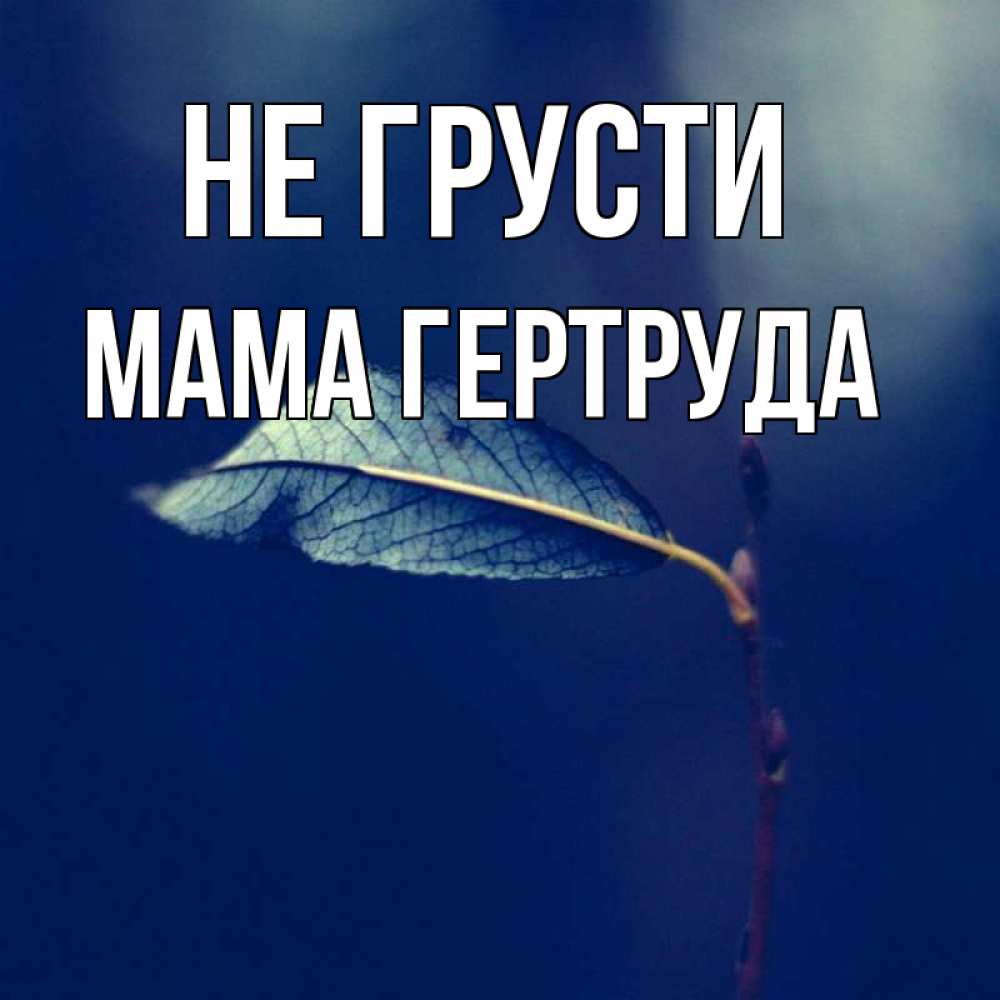 Открытка на каждый день с именем, Мама-Гертруда Не грусти растение Прикольная открытка с пожеланием онлайн скачать бесплатно 